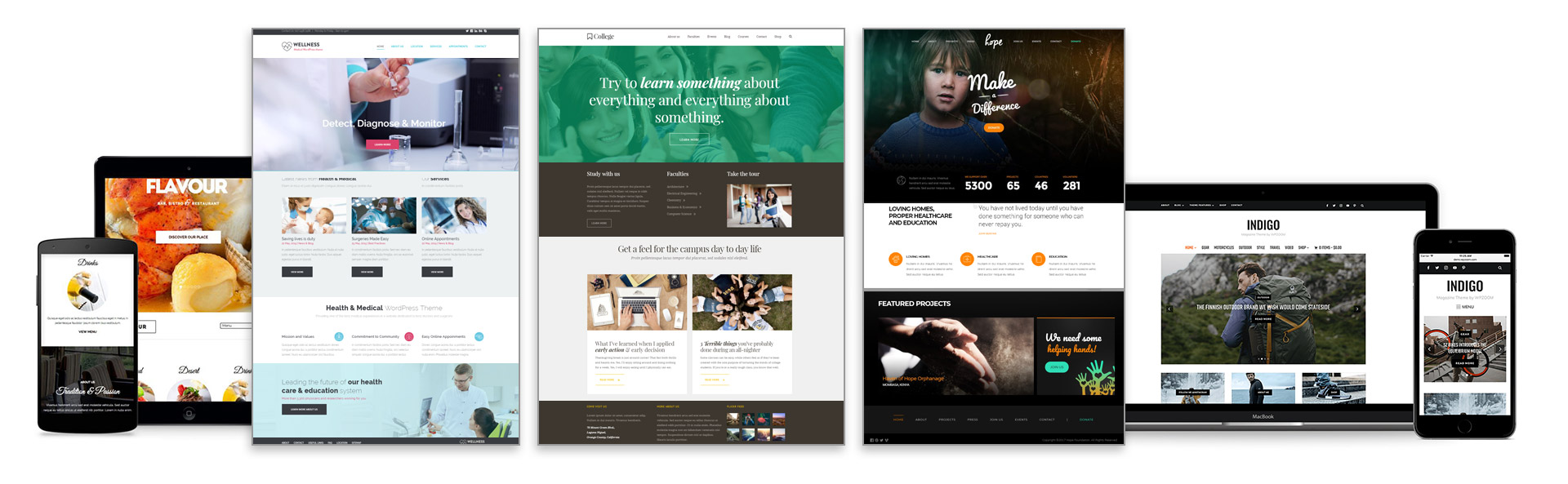 Wordpress Themes and Templates