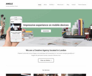 Angle Theme - WPZoom