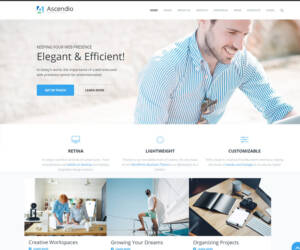 Ascendio Theme