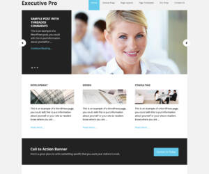 Executive Pro Theme