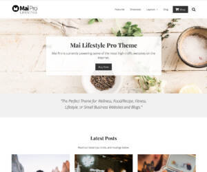 Mai Pro Lifestyle Theme