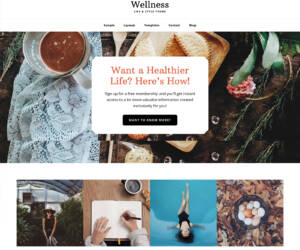 Wellness Pro Theme